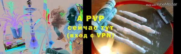 сатива Алагир