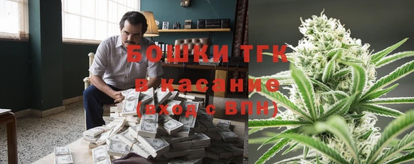сатива Алагир