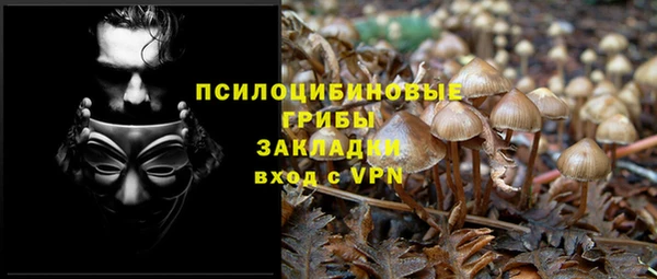 сатива Аксай