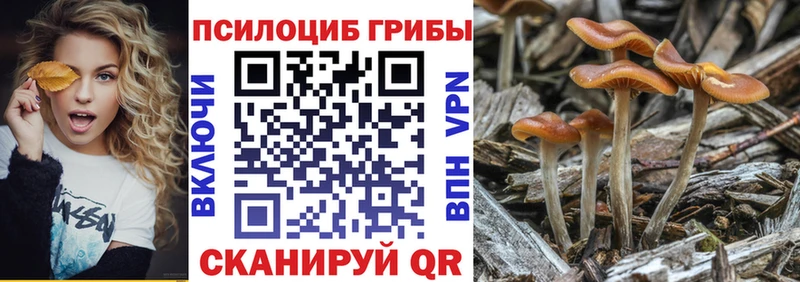 цены   hydra онион  Псилоцибиновые грибы Cubensis  Дмитровск 
